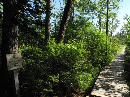 Saco Heath Preserve
