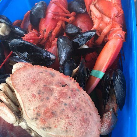 Rose Eden Lobster