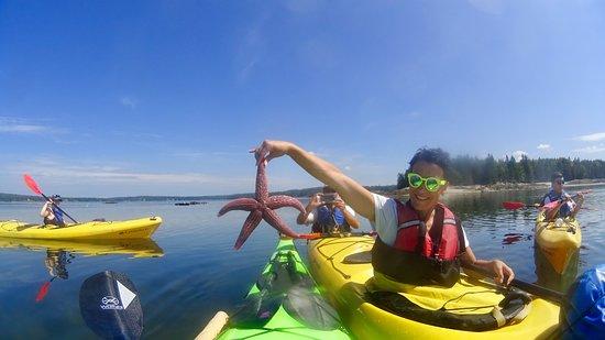 Aquaterra Adventures