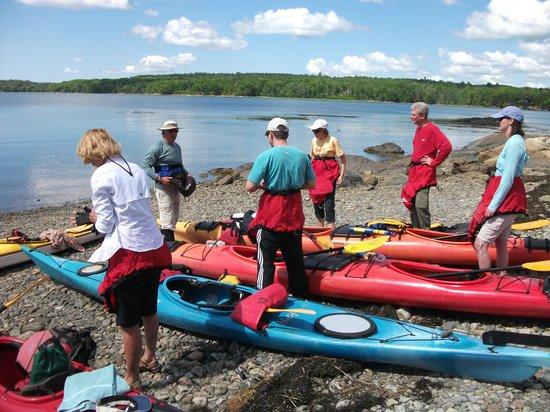 Seascape Kayaking