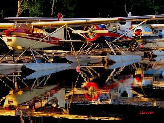 Currier's Flying Service