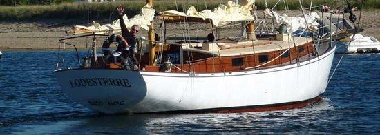 Saco Daysails