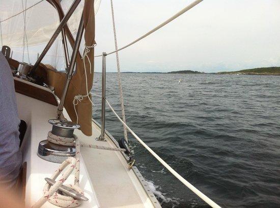 Ark II Charters