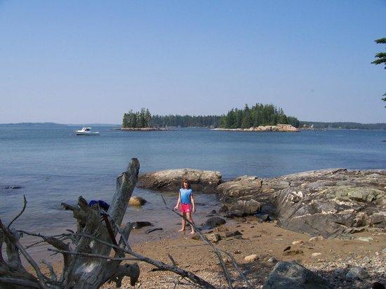 Downeast Coastal Cruises