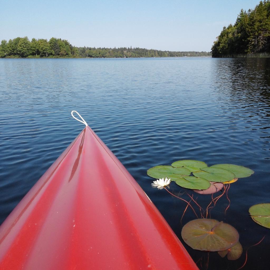 The Gallery at Somes Sound