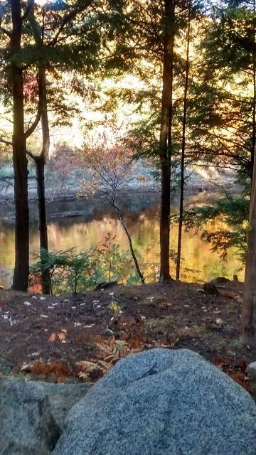 Debe Park Trails