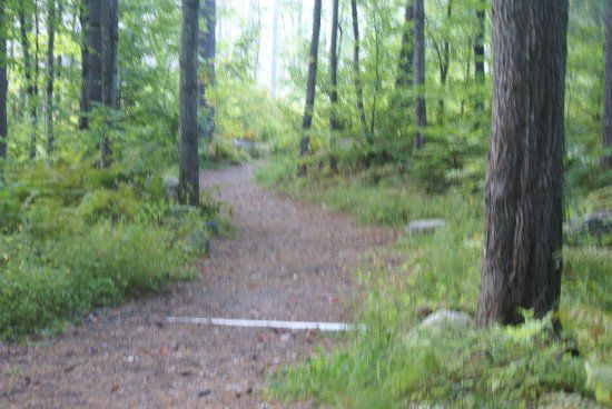 Pondecherry Park