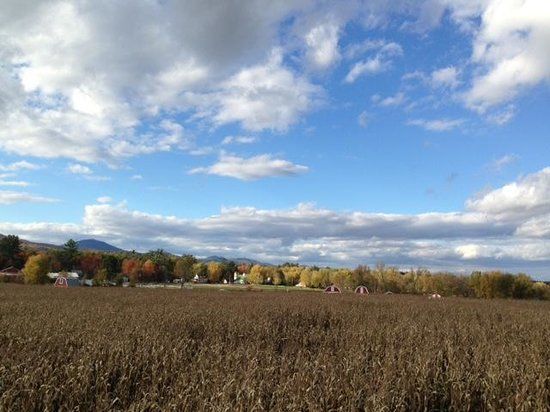 Sherman Farm