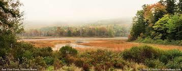 Seal Cove Pond