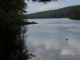 Twitchell Pond